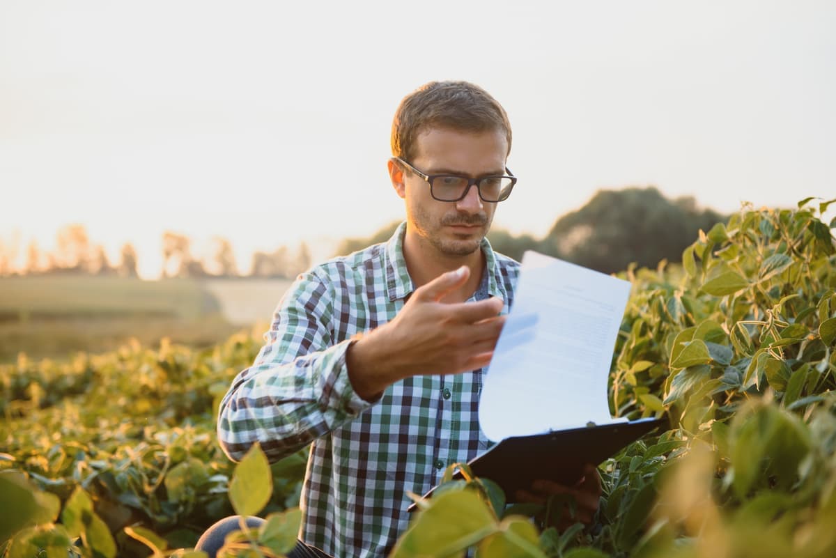 Como Aumentar a Produtividade da Soja com Agrominerais