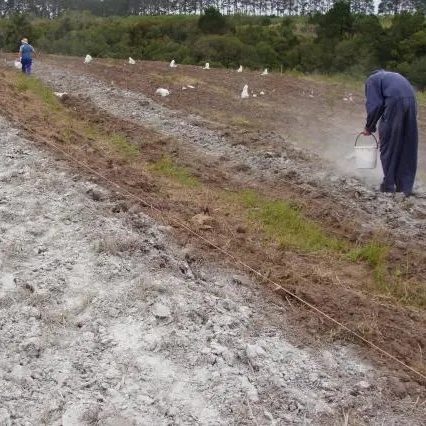 Aplicando pó de rocha na lavoura